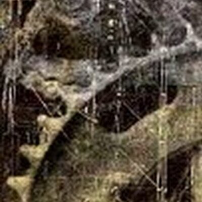 Profile Picture of Frances Yates (@Yankees_93) on Twitter