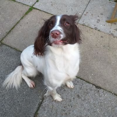 Profile Picture of Maria Dempsey (@MariaDempsey20) on Twitter