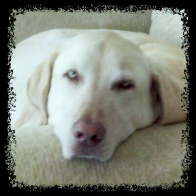 Profile Picture of Mike Hildner (@MrRNWY) on Twitter