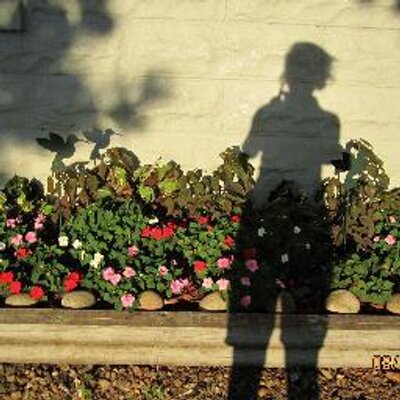 Profile Picture of Leslie Slaughter (@Leslie_Slaugh) on Twitter
