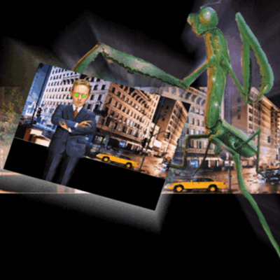 Profile Picture of David Deignan (@OpUsMoTiF) on Twitter