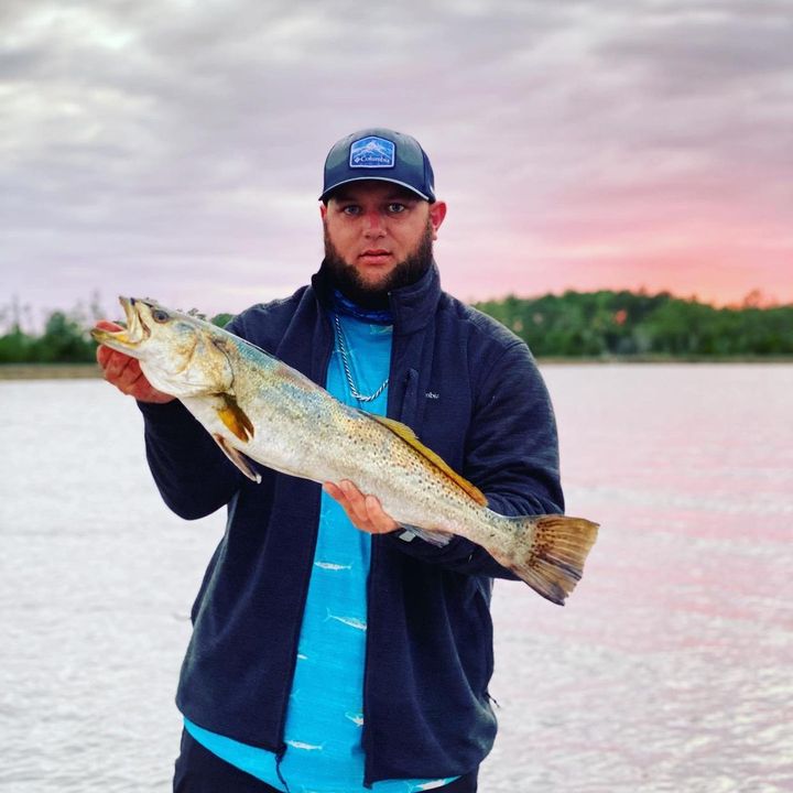 Profile Picture of Darren Woolard (@darrenwoolard) on Tiktok