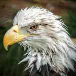 Profile Picture of Nate Waldrop (@natewaldrop) on Instagram