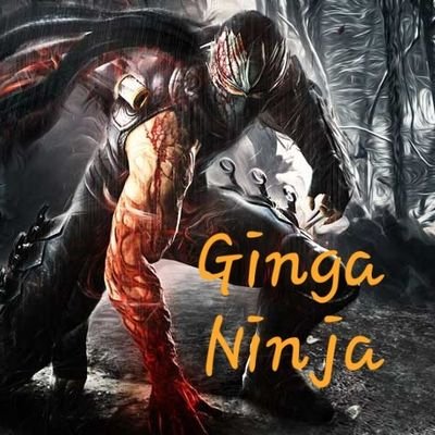 Profile Picture of Steve Perri (@ginga_fell) on Twitter