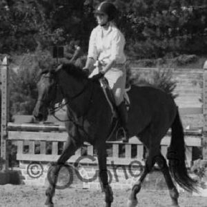 Profile Picture of Emily Griner (@love_fancy_and_mucho) on Myspace