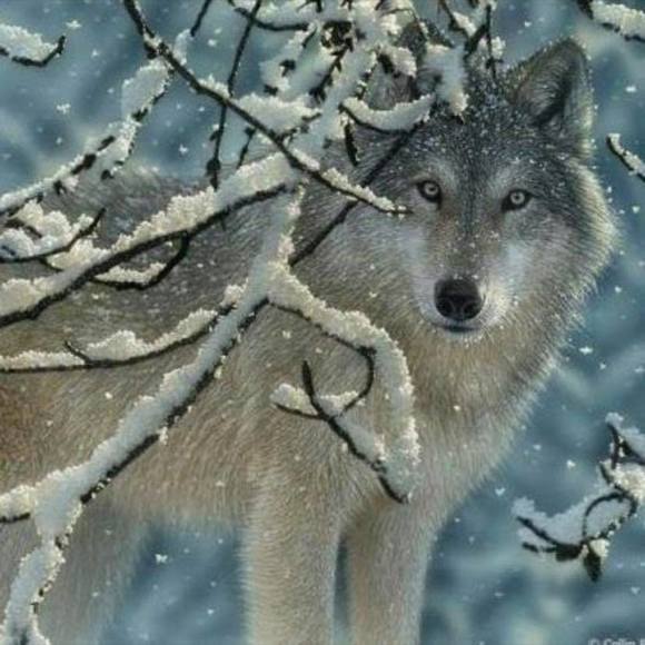 Profile Picture of Fernando Hurtado (@fernandoh420) on Poshmark