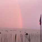 Profile Picture of Patrick Saldou (@psroots) on Instagram