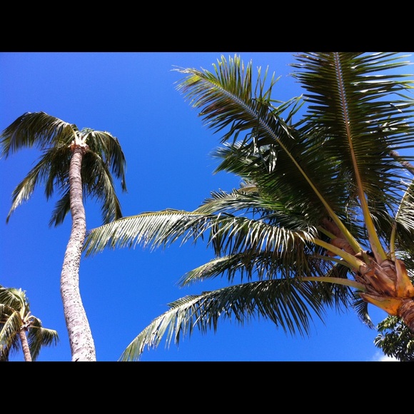 Profile Picture of Lisa Mah (@lgm2011) on Poshmark