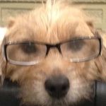 Profile Picture of Thomas Fishwick (@tomof1sh) on Instagram