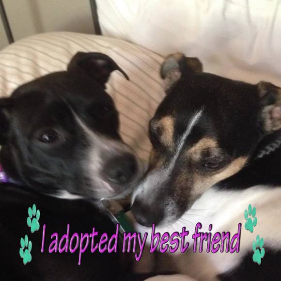 Profile Picture of Angela Reinoehl (@areinoehl6) on Poshmark