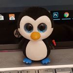 Profile Picture of Marcus I guess (@marcus_thepenguin_uwu) on Instagram