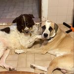 Profile Picture of Kira Leo Brooks Sardegna (@kira_leo_brooks) on Instagram