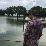 Profile Picture of Glenn Dyer (@glenn.david.dyer) on Instagram