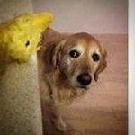 Profile Picture of Oliver José Trinidad Hernández (@josetrinidadhdez) on Instagram