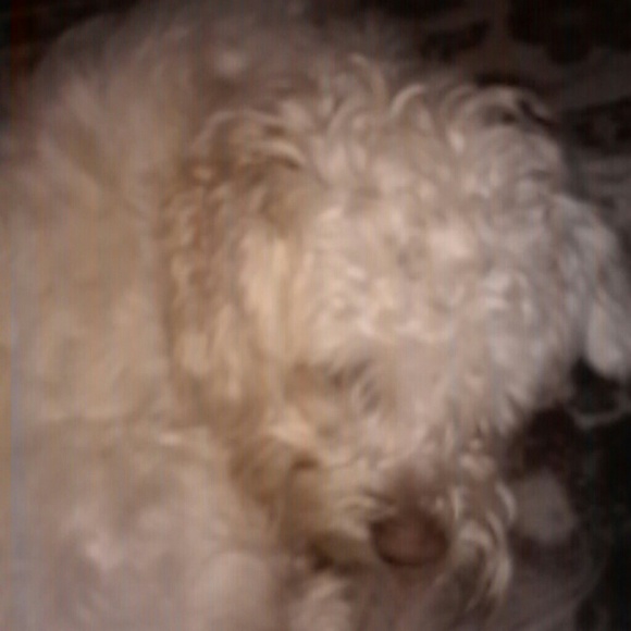 Profile Picture of Leonor Naranjo (@leonor_naranjo) on Poshmark