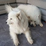 Profile Picture of Stuart Marsden (@stuart.marsden61) on Instagram