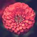 Profile Picture of Wesley Stokes (@wesley.stokes.9887) on Facebook