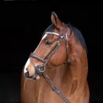 Profile Picture of Ellen Åkerlund (@ellenakerlund) on Instagram