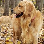 douglas swartz - Instagram Profile Picture of douglas swartz (@douglas.swartz) on Instagram