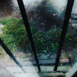 Profile Picture of Martin Gomes (@jonnaking.22) on Instagram