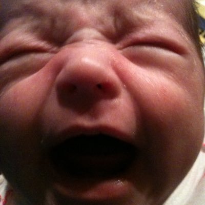 Profile Picture of Hawk (@hawk2973) on Twitter