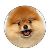 Profile Picture of Xian Ding (@xianding910) on Youtube