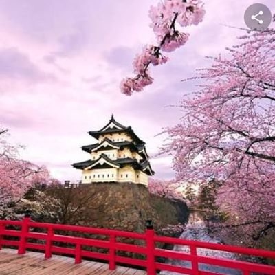 Profile Picture of Yuri Higuchi Sousa (@sousa_higuchi) on Twitter