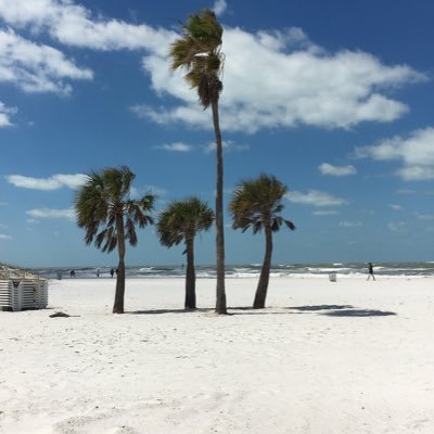 Profile Picture of Phyllis Hamilton (@Phyllis328) on Twitter