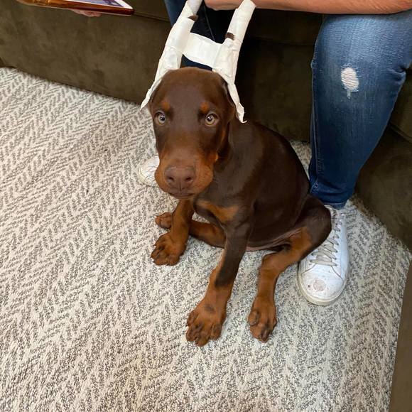 Chris Merchant - Poshmark Profile Picture of Chris Merchant (@chris_merchant) on Poshmark