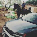 Profile Picture of Alfredo Bojorquez (@abe496) on Instagram