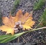 Vee Campbell - Facebook Profile Picture of Vee Campbell (@vee.campbell.750) on Facebook