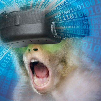 Profile Picture of Josh Doering (@TheVirtualMonky) on Twitter