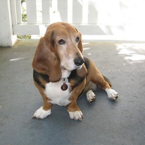 Profile Picture of Dixie Bell (@344629339) on Myspace