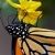 Profile Picture of William VanHook (@williamvanhook) on Pinterest
