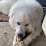 Profile Picture of Christine Freiberg (@christinefreiberg707) on Youtube