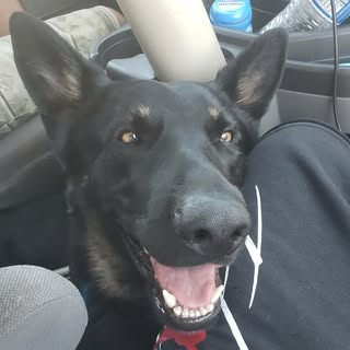 Richard Baldenegro - Instagram Profile Picture of Richard Baldenegro (@richardbaldenegro) on Instagram