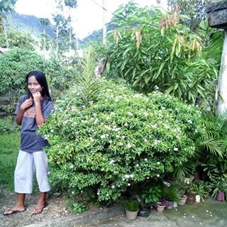 Profile Picture of Cristine Audrey Quintal (@cristineaudrey.quintal.5) on Facebook