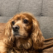 Profile Picture of Lisa Mac (@lisamac3324) on Youtube