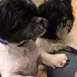 Profile Picture of Glynis Mitchell (@glynis8166) on Instagram