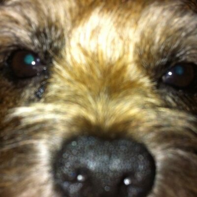 Profile Picture of Julia Willoughby (@JulesWilloughby) on Twitter