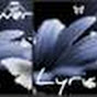 Profile Picture of flowerlyrics (@@flowerlyrics) on Tiktok