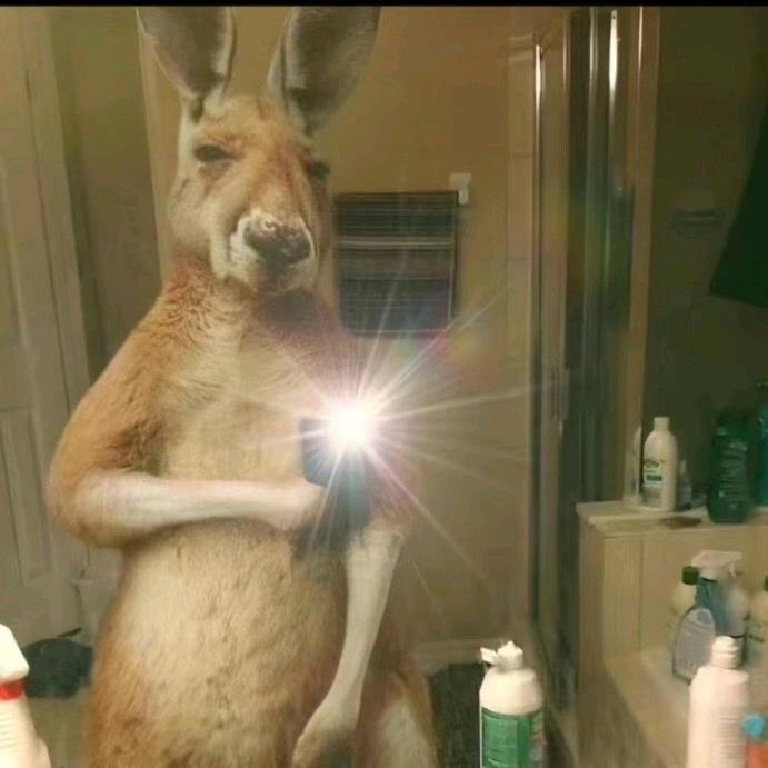 Profile Picture of angelxavier097 (@angelxavier097) on Tiktok