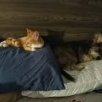 Profile Picture of Jamie Grantham (@jamie.grantham.902) on Facebook