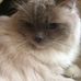 Profile Picture of James Norris (@james.norris.1069) on Facebook