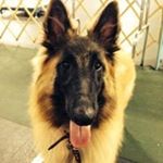 Profile Picture of Paige Paulson (@paulsonpaige) on Instagram