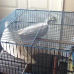 Profile Picture of Lorenzo Polanco (@lorenzo_polanco) on Instagram