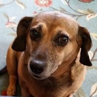 Profile Picture of Craig Fortune (@craig-fortune-1) on Quora