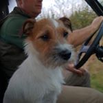 Profile Picture of Brian Twigger (@twistersdad) on Instagram