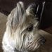 Profile Picture of Minnie Reid (@minnie.reid.948) on Facebook