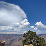 Profile Picture of Ariel Chiu (@ariel.chiu.395) on Instagram